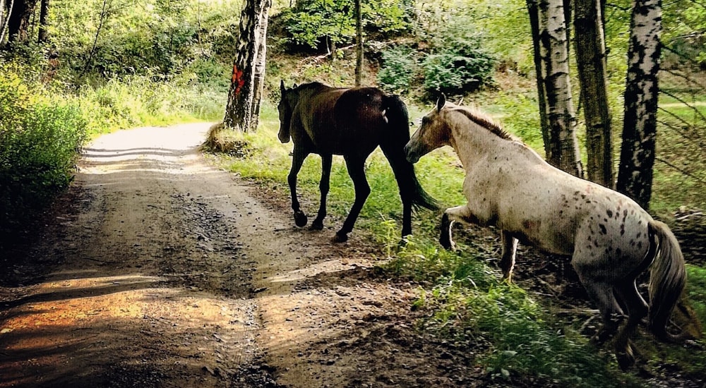 Sport e Natura